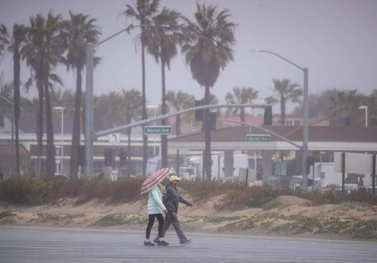 Two people walk under an umbrella on a rainy day on a beachfront path next to palm trees.