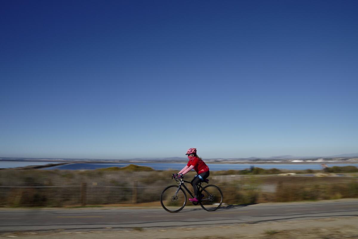 A cyclist make her was down the Bayshore Bikeway.