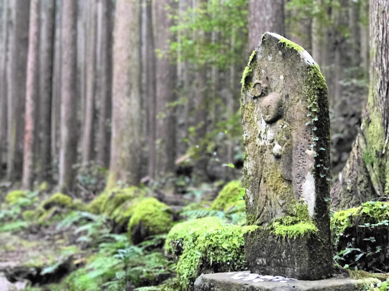 A moss-covered shrine greets travelers along the Kumano Kodo pilgrimage trail. Hundreds of these minor, nameless shrines, or oji, line the path where they have stood for at least 500 years, offering blessings and an opportunity for prayer and reflection.