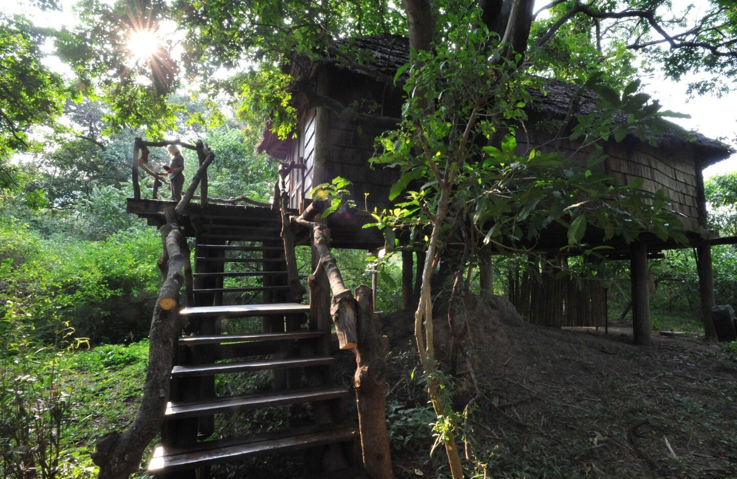 Lake Manyara Tree Lodge