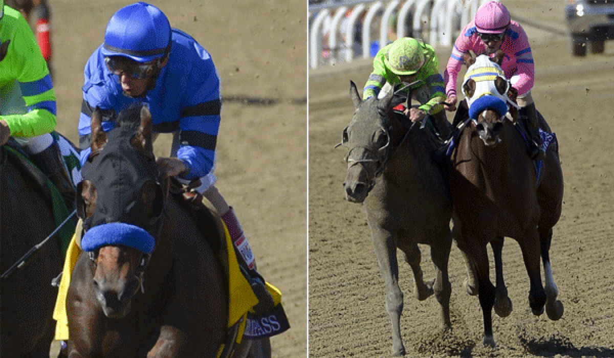 Secret Compass and jockey John Velaquez, left, were unable to complete the $2-million Breeders' Cup Juvenile Fillies; Ria Antonia with jockey Javier Castellano, left, won the race after being bumped by She's A Tiger with jockey Gary Stevens.