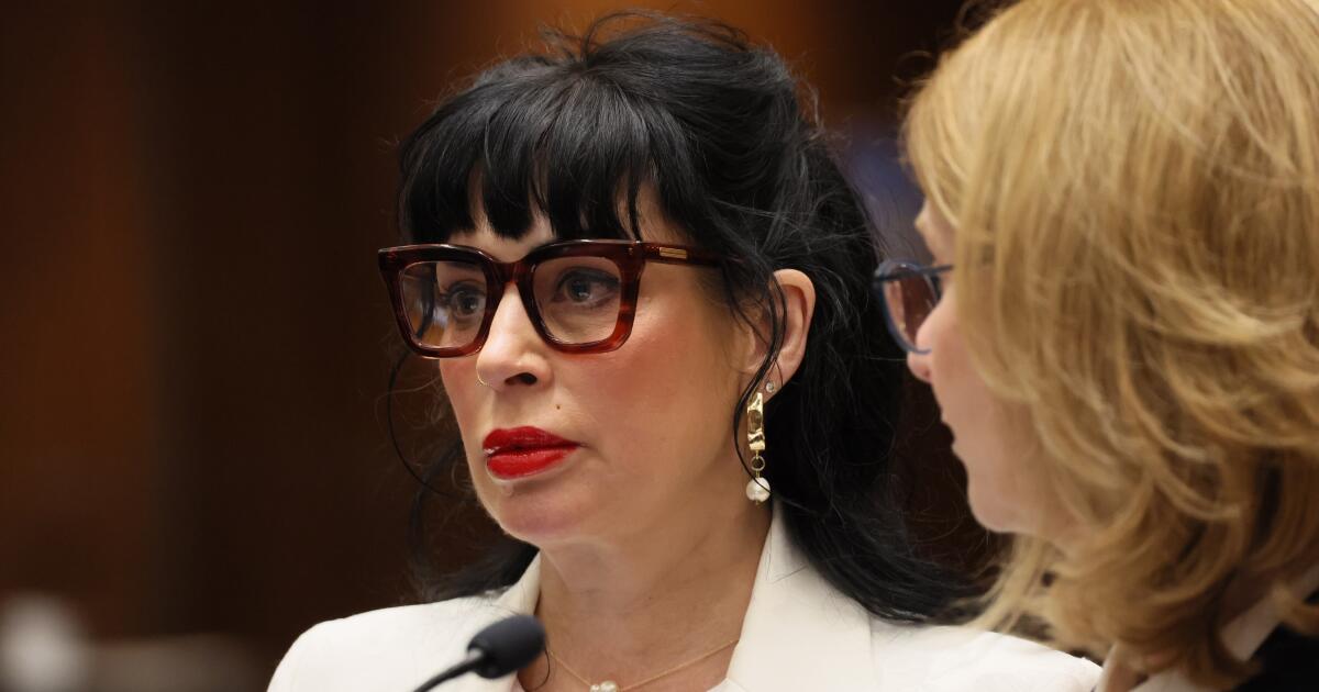Bestselling author and wife of Weezer bassist avoids jail after shooting at LAPD officers