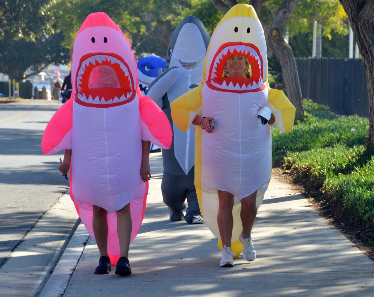 Runners in shark costumes join the Run 4 Sharks at the Newport Dunes Waterfront Resort.