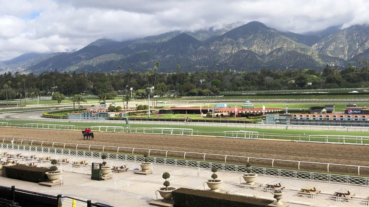 Twenty-three horses have died at Santa Anita since the start of their winter/spring meet on Dec. 26.