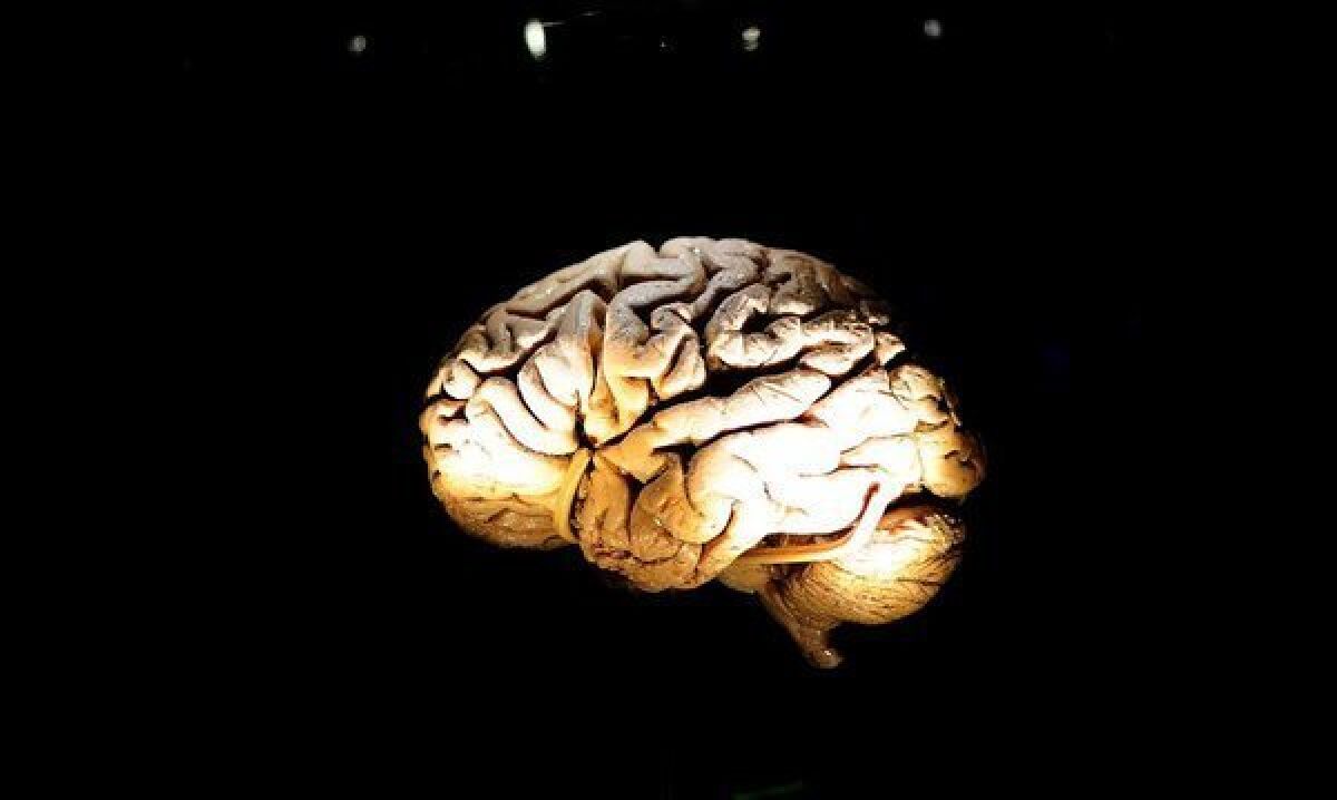 Even a single concussion can cause changes to the brain's structure with potential long-term consequences, says a new study.