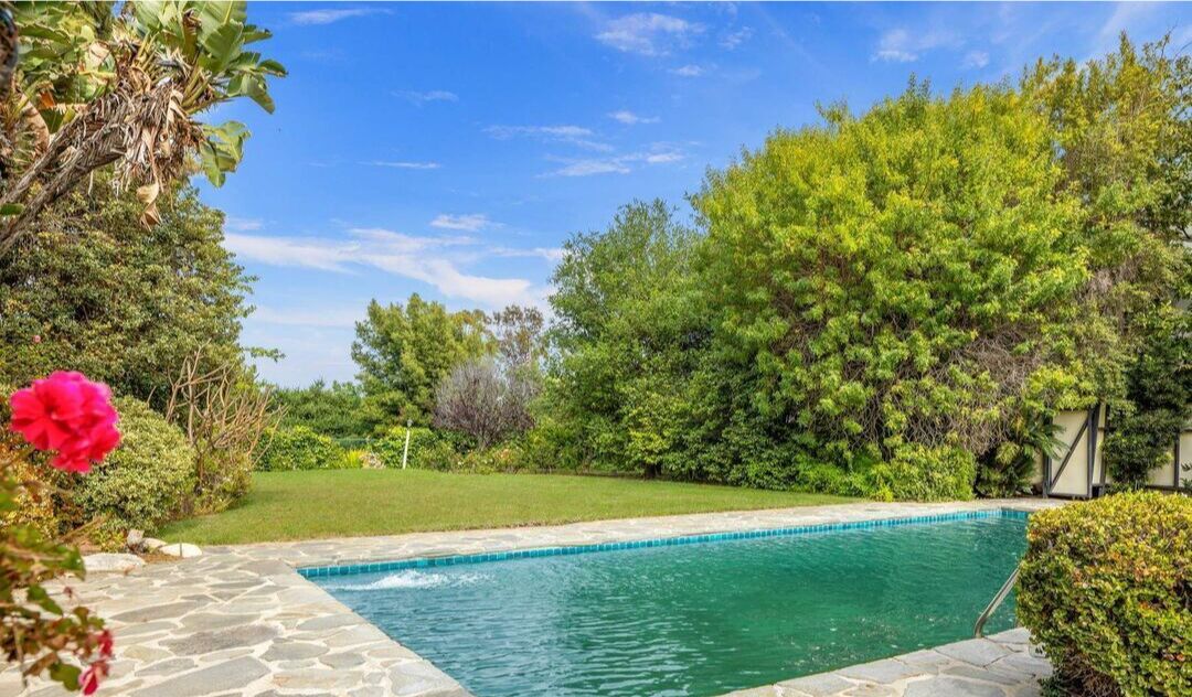 The backyard.