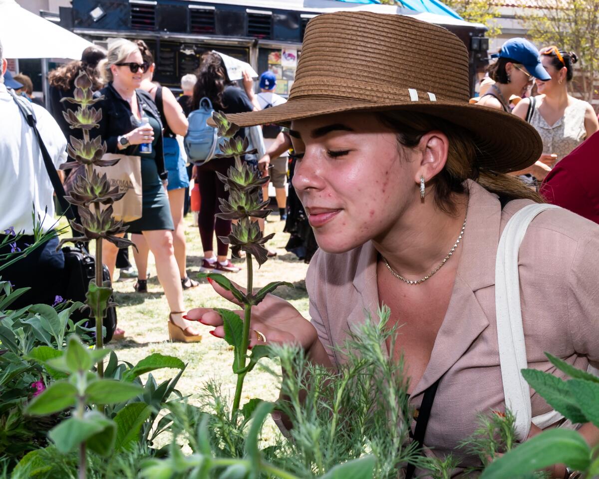 A woman in a hat sniffs a plant at the 2023 L.A. Times Plants booth at the Festival of Books.