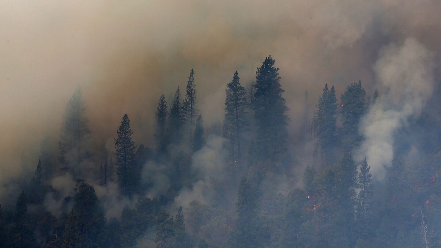 Smoke rises from trees burned by the King fire on Wednesday in Pollock Pines, Calif.