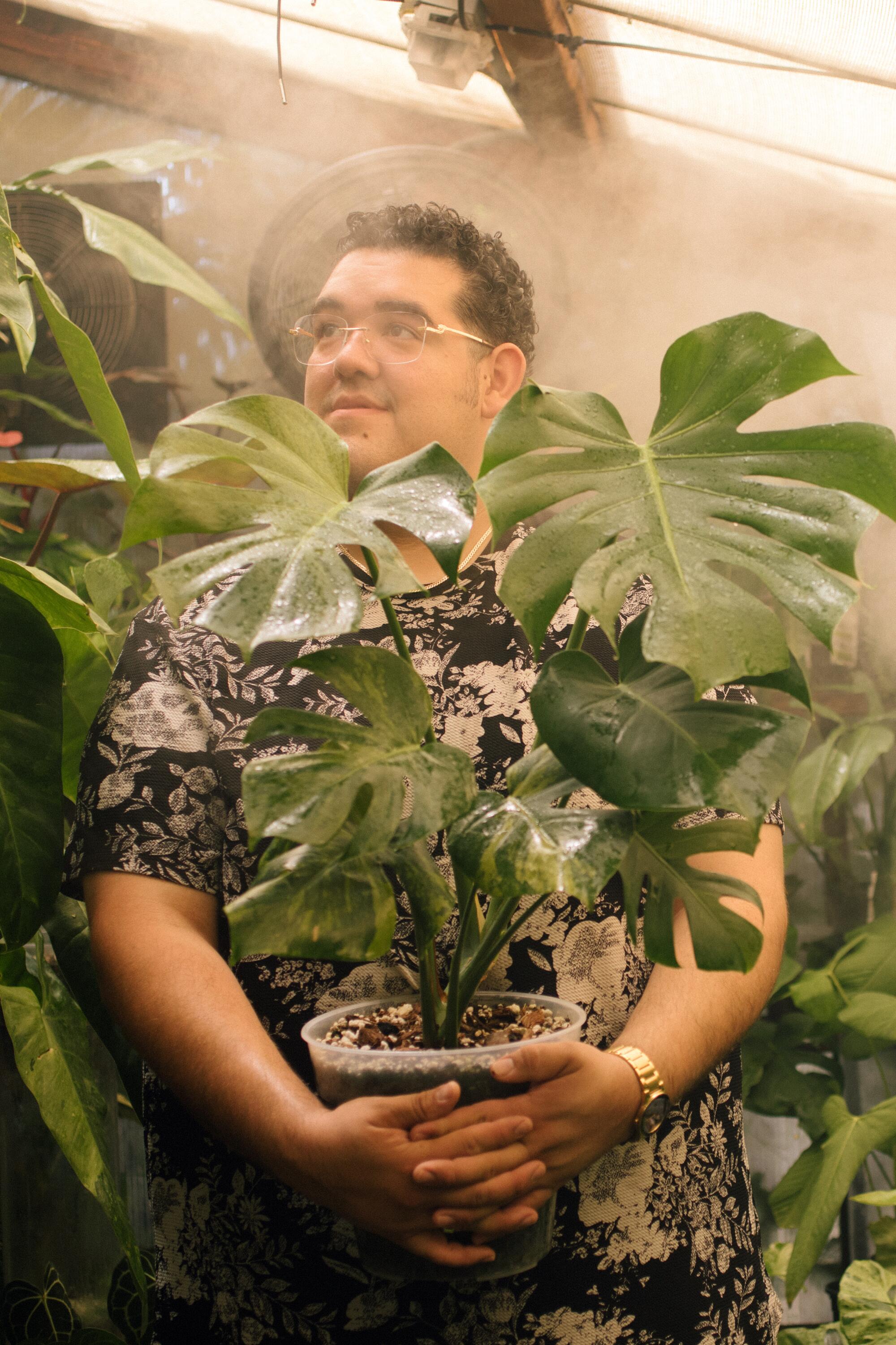 A young man stands in a greenhouse holding a leafy potted plant in his arms