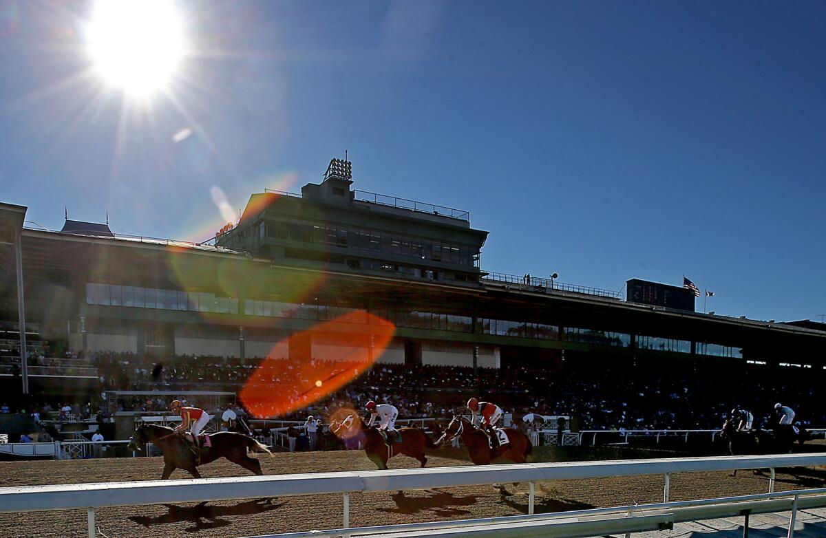 Jockeys and their horses race at Santa Anita race track.