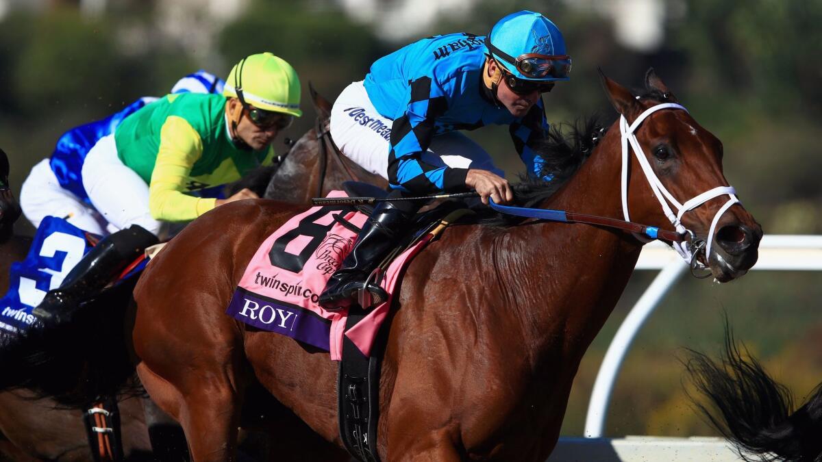 Roy H, ridden by Kent Desormeaux, wins the Breeders' Cup Sprint on Saturday at Del Mar.