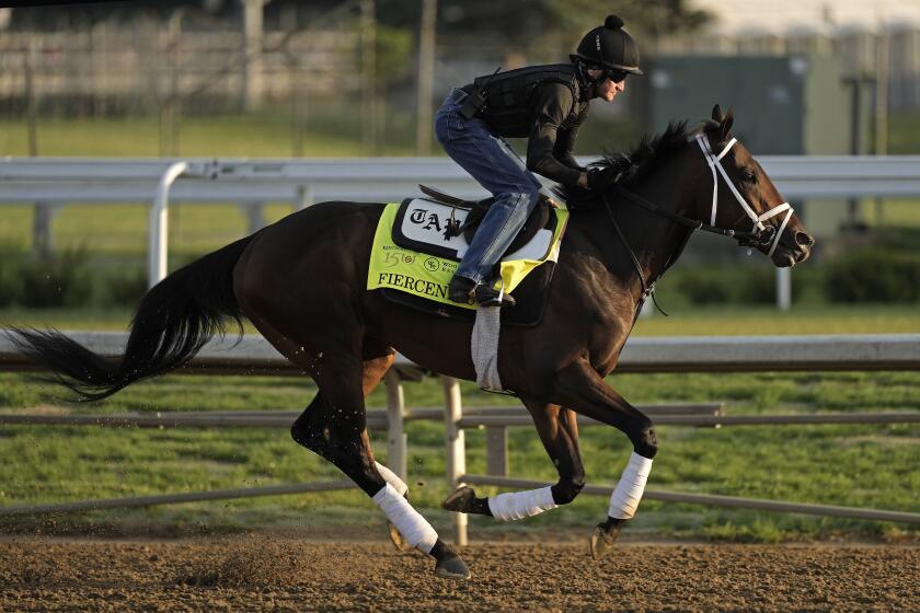 Kentucky Derby hopeful Fierceness works out at Churchill Downs Wednesday, May 1, 2024, in Louisville, Ky. The 150th running of the Kentucky Derby is scheduled for Saturday, May 4. (AP Photo/Charlie Riedel)