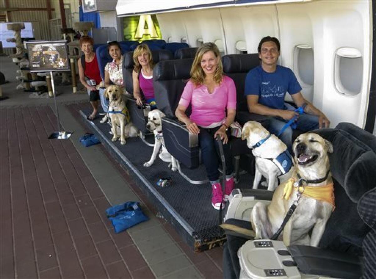 A Hollywood studio where dogs learn to fly - The San Diego Union-Tribune