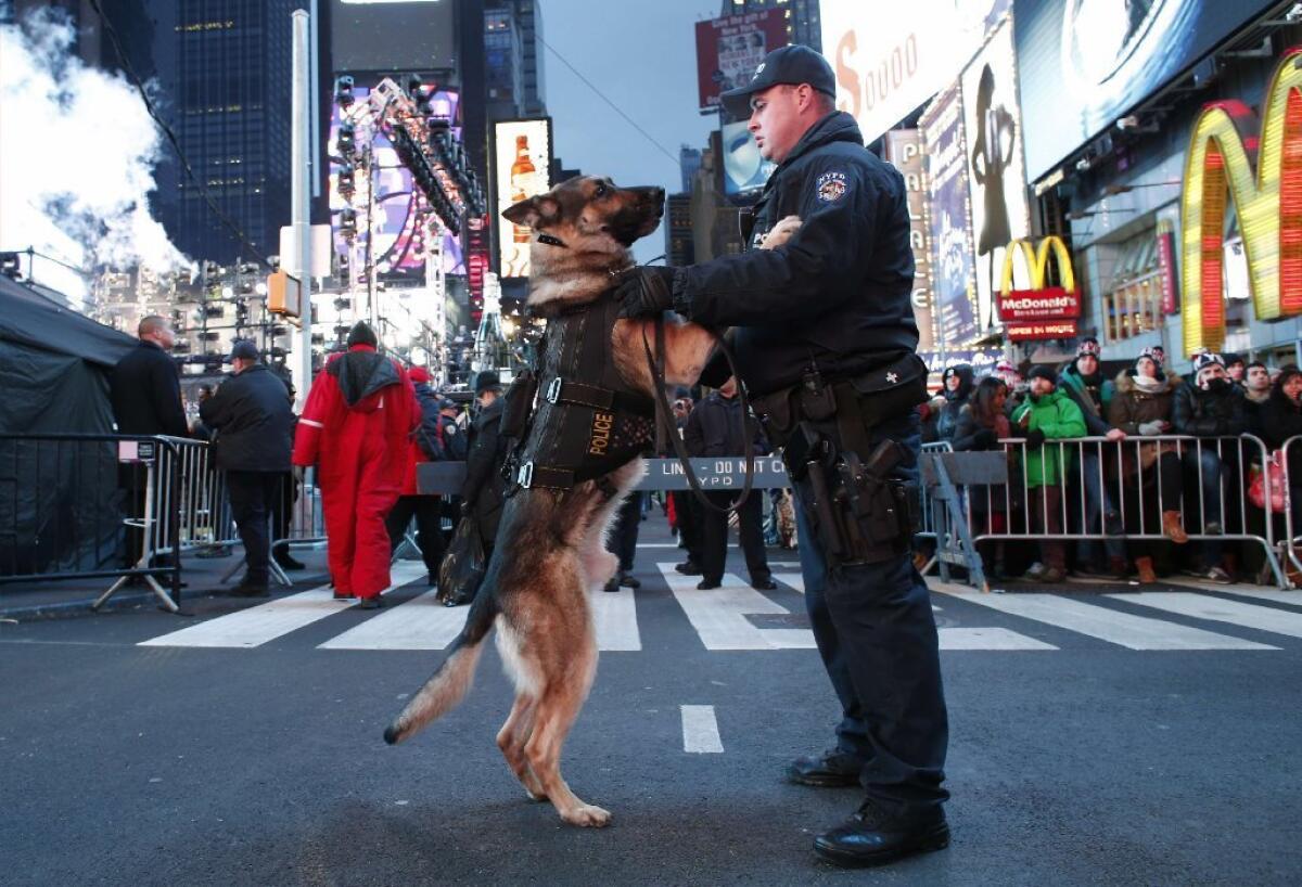 Anxiety? Excitement? Hopes for a new year? A new study suggests dogs share with humans a knack for interspecies emotional interpretation. They get us.