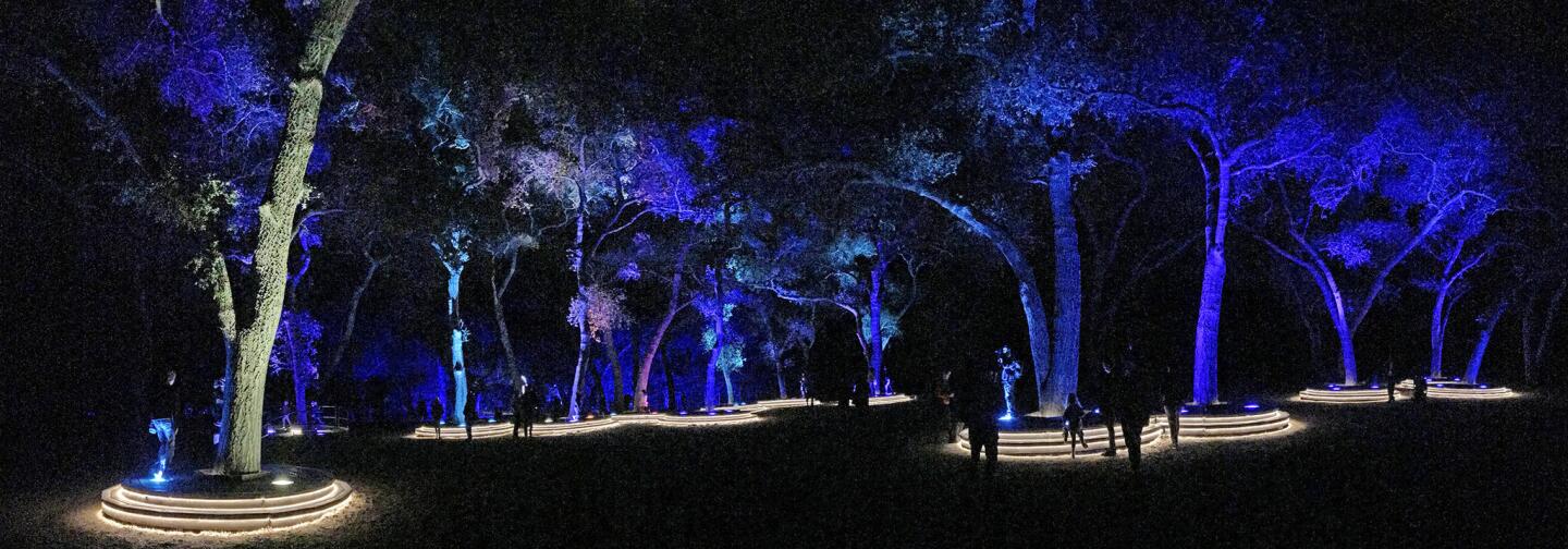 Photo Gallery: Descanso Gardens Enchanted Forest of Light