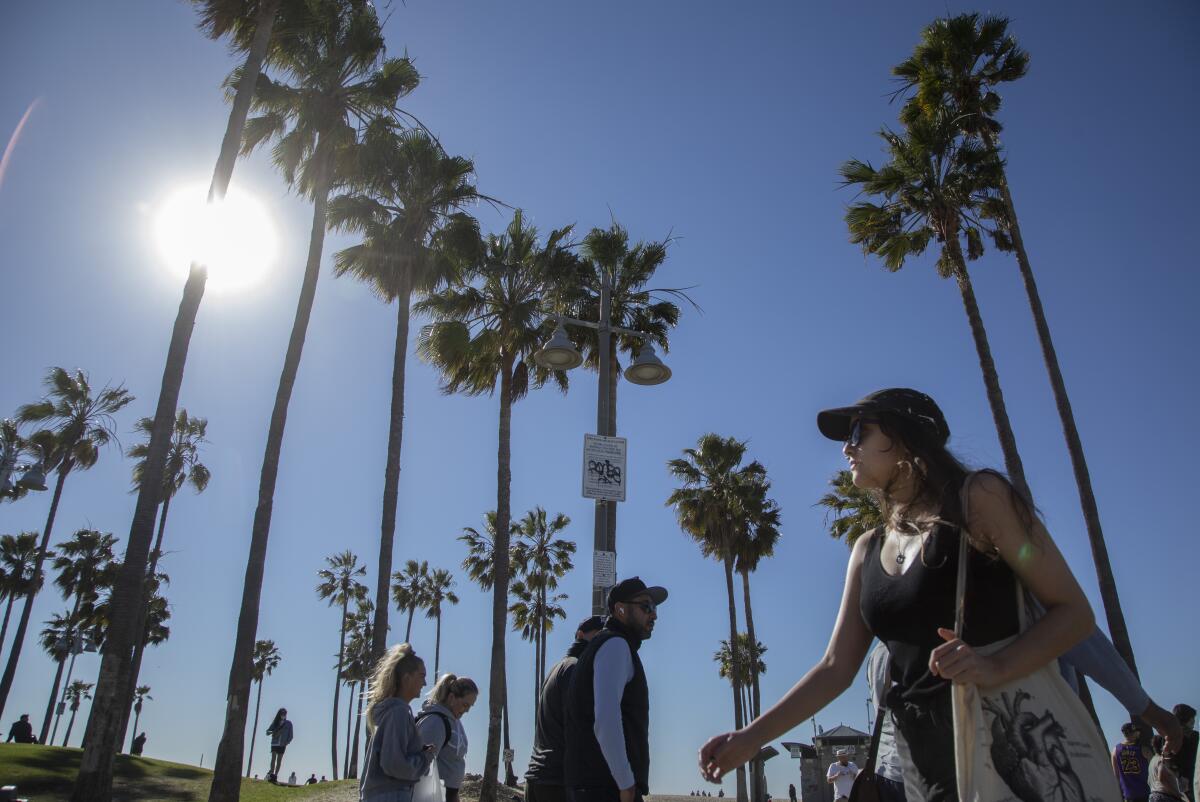 People walk under palm trees on a sunny day at the beach.
