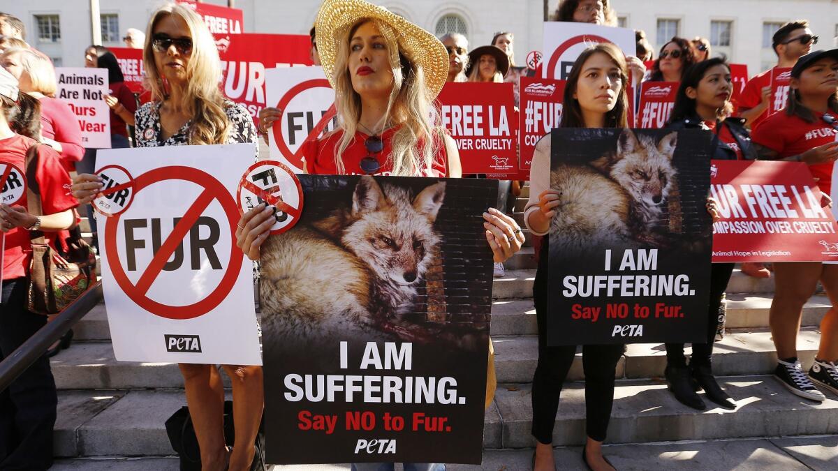 Margo Paine, middle, joins dozens of animals rights activists as they protest at Los Angeles City Hall. A proposal to ban the sale of fur products advanced in the City Council on Tuesday.