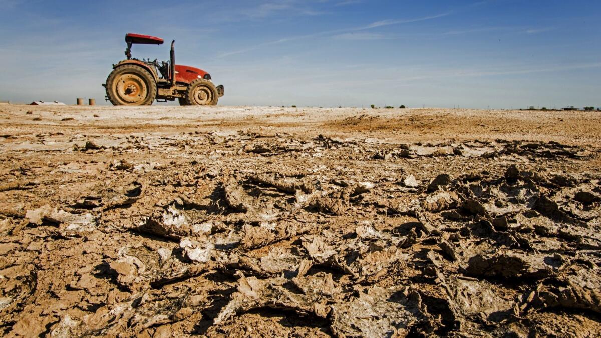 Models predict that climate change will increase the risk of drought, like those that have affected California in recent years.