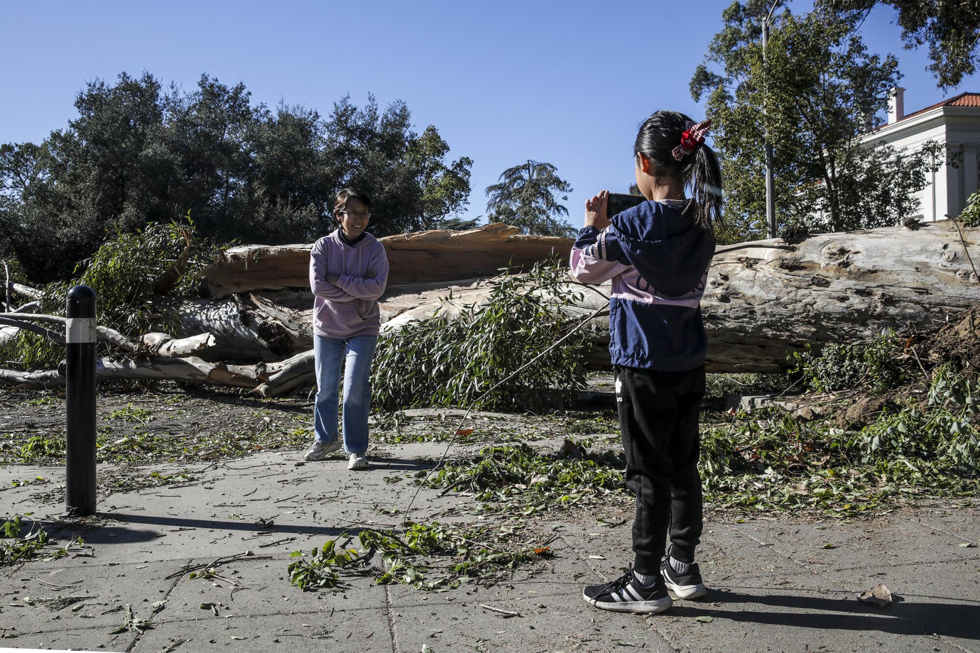 A child takes a photo of a woman with a felled tree