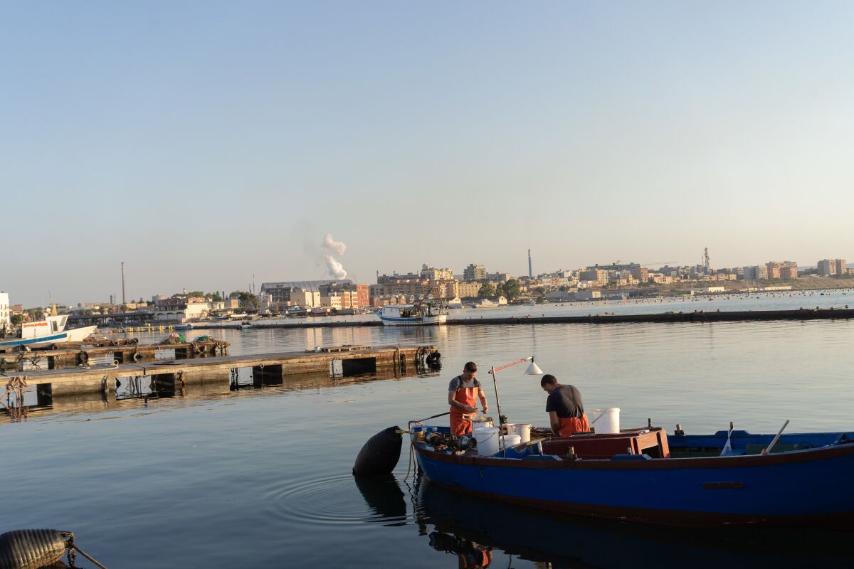 Two fishermen clean their catch in old Taranto's harbor. On the horizon is a column of vapors from ArcelorMittal’s steel plant.