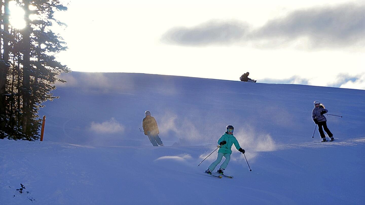 Winter in Alberta, Canada, high country