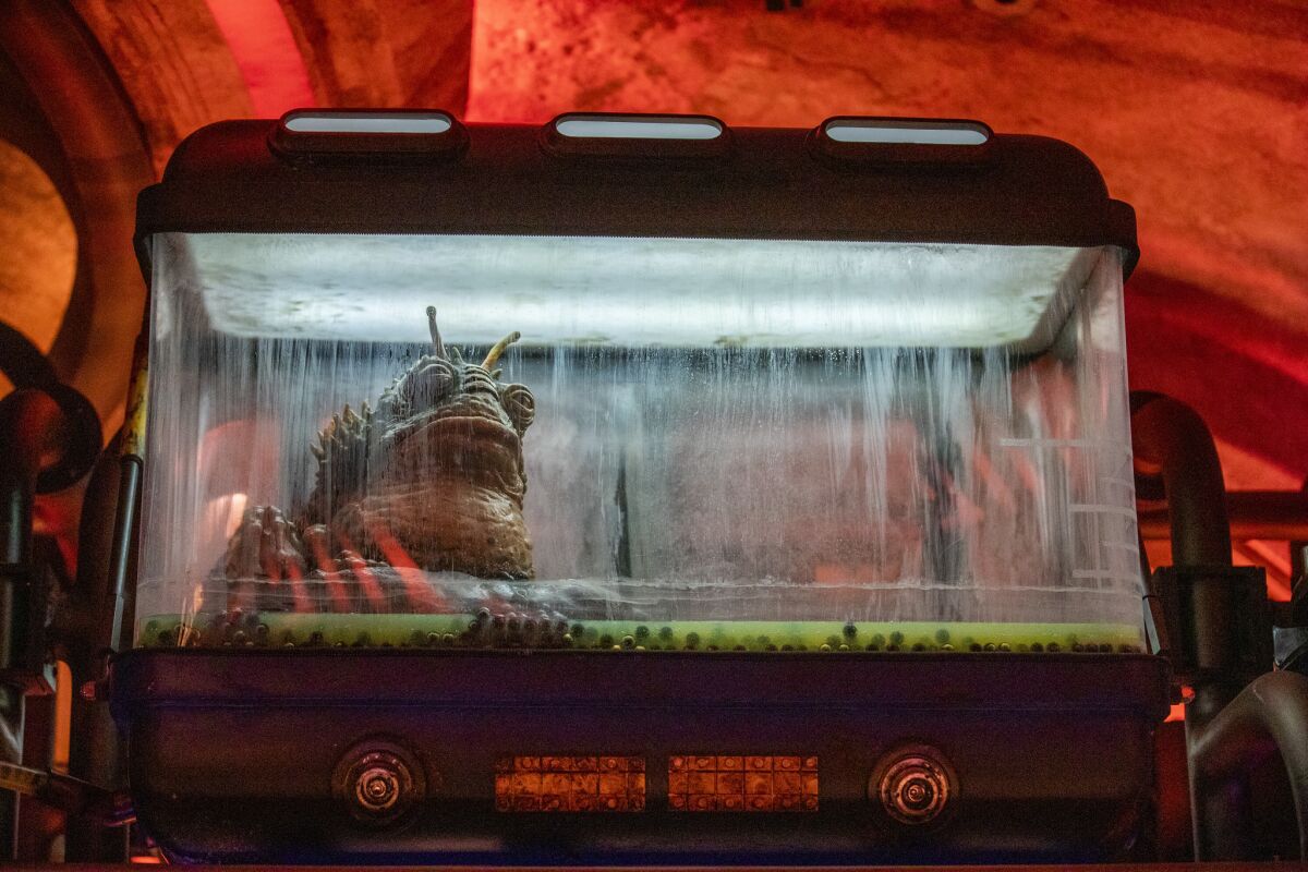 A Woort on display at the bar in Oga's Cantina.