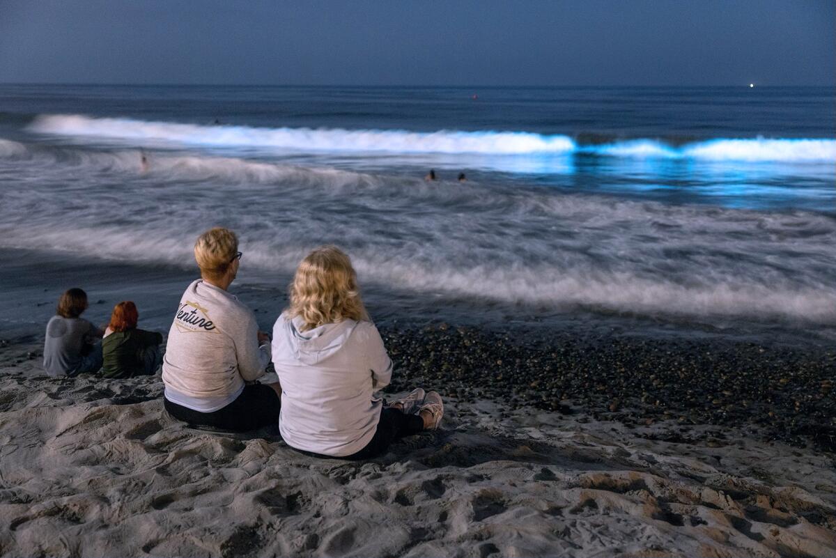 Andie Cajuste, left, and Laura Ross watch waves break with a bioluminescent glow