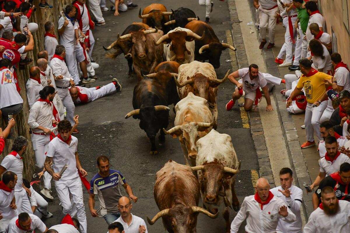 Toros corren entre los participantes del primer encierro de las Fiestas de San Fermín 