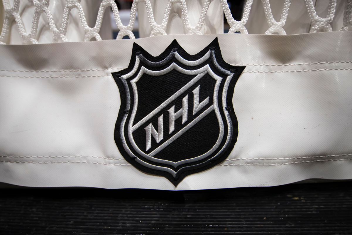 A detailed view of the NHL logo on the back of the goal netting.