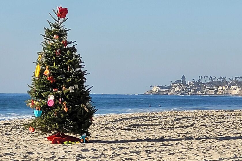 A lone Christmas tree stands in the sand in Mission Beach on Dec.  11, 2021.