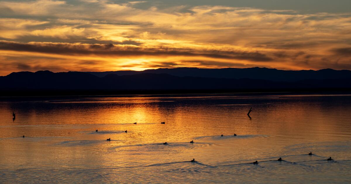 Homem do sul da Califórnia acusado de assassinato de adolescente desaparecido após restos mortais encontrados na área de Salton Sea