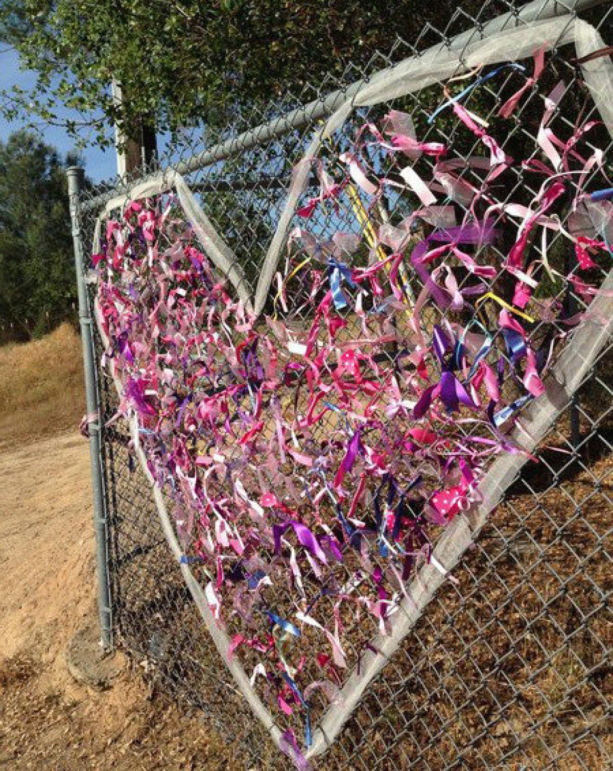 A heart of ribbons for slaying victim Leila Fowler adorns a chain-link fence at Jenny Lind Elementary School in Valley Springs, Calif. Leila's 12-year-old brother has been accused of her stabbing death.