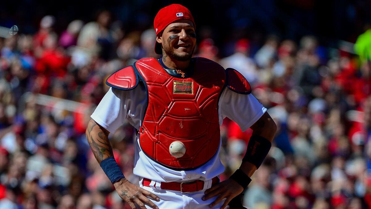 St. Louis Cardinals catcher Yadier Molina looks around for the ball, unaware it got stuck to his chest protector April 6 against the Chicago Cubs.