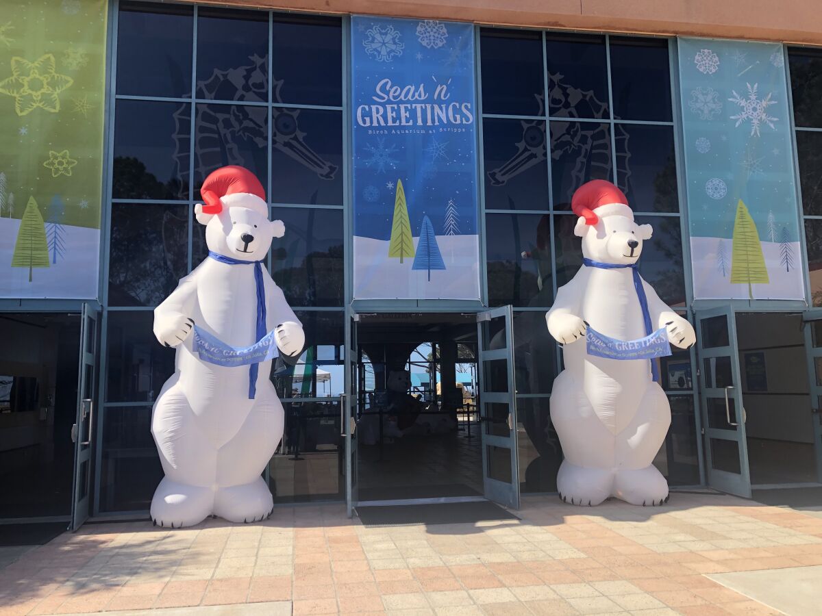 Birch Aquarium’s annual "Seas ‘n’ Greetings" celebration features festive decor for photo opps.