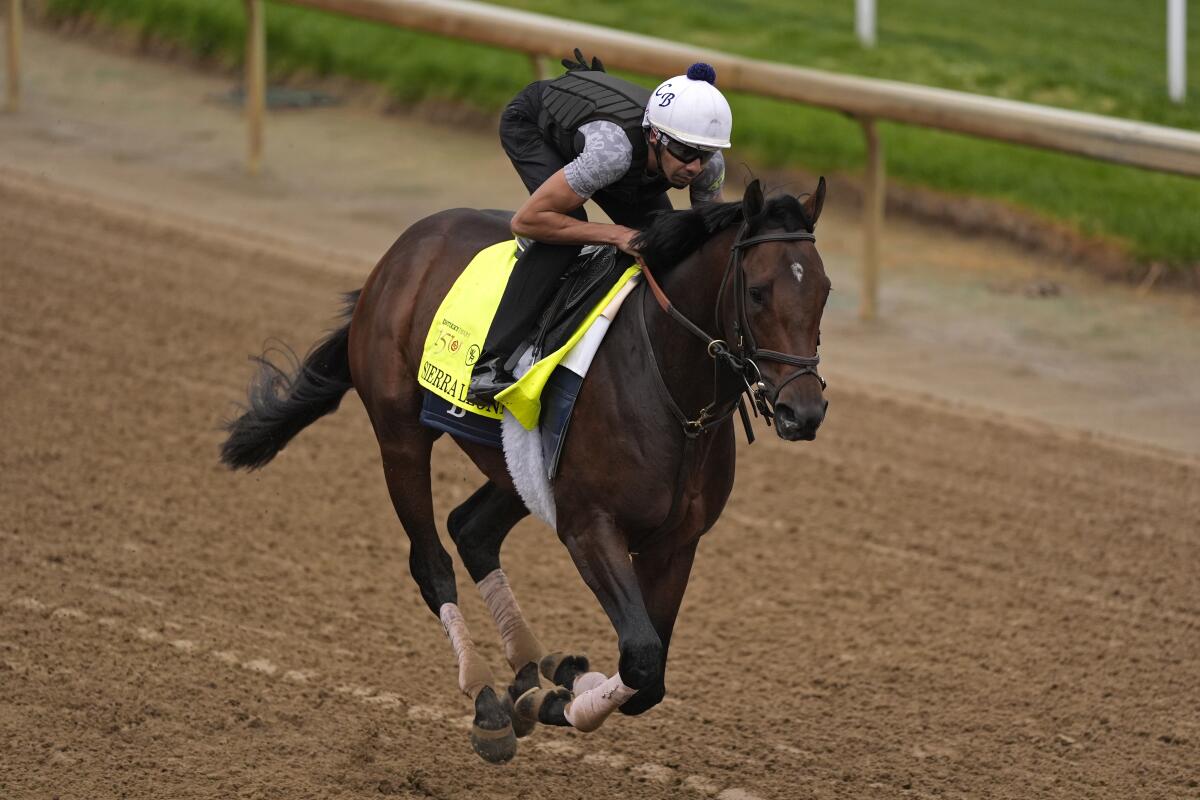 Kentucky Derby entrant Sierra Leone works out at Churchill Downs on Tuesday.