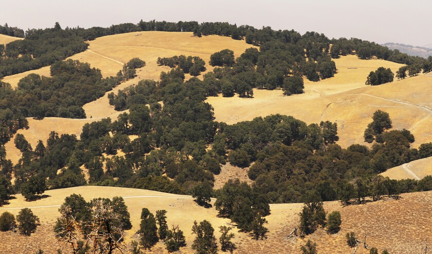 The Blue Ridge Range, a small portion of the protected area of Tejon Ranch.
