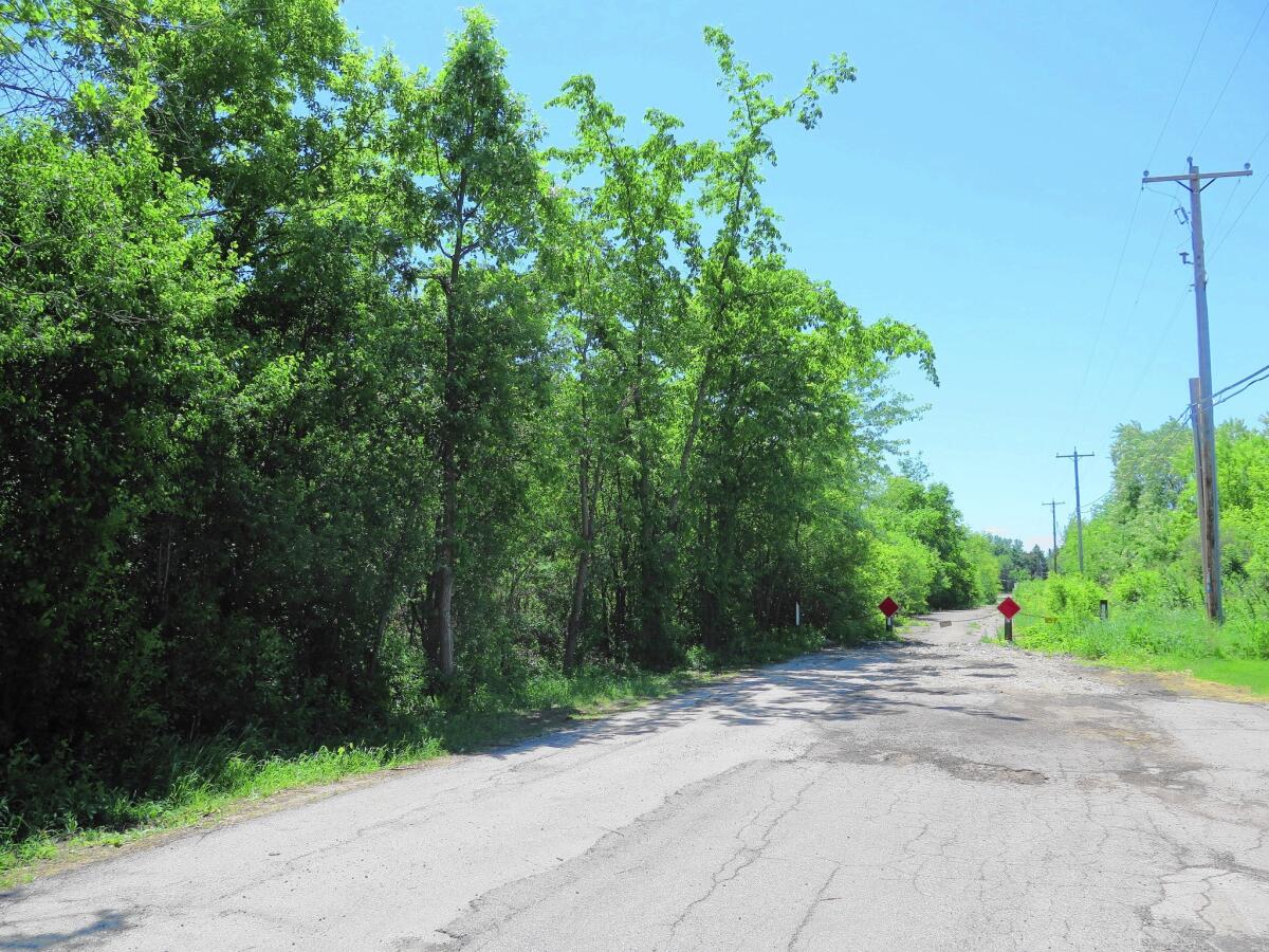A bicyclist on this path in Waukesha, Wis., discovered a 12-year-old girl who had emerged from the woods with her clothing caked in blood - having been stabbed 19 times. She was treated at a hospital and is reported to be in stable condition.