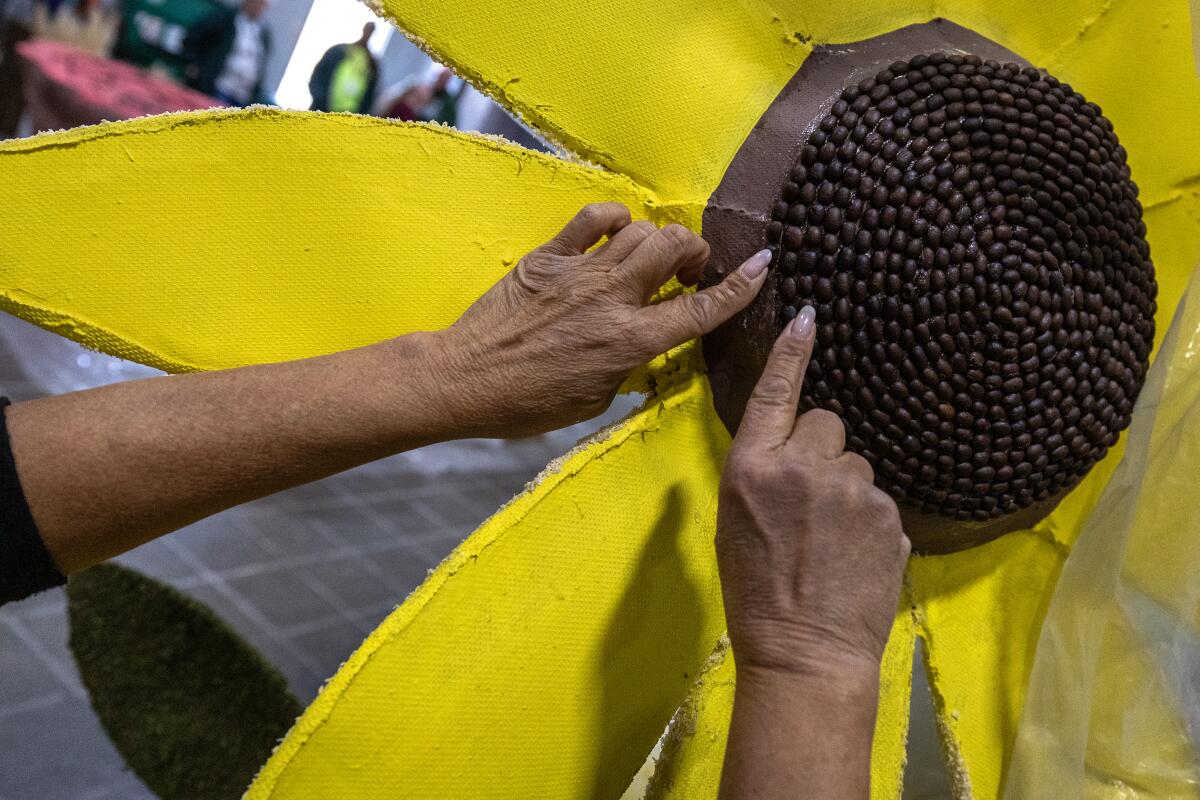 A volunteer glues black beans to a Rose Parade float.