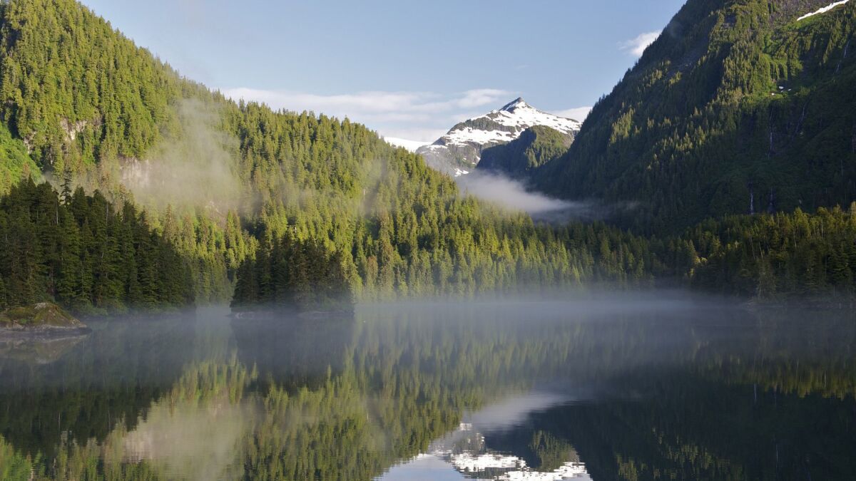Calm water within a bay in Tongass National Park in Alaska on July 7, 2012.