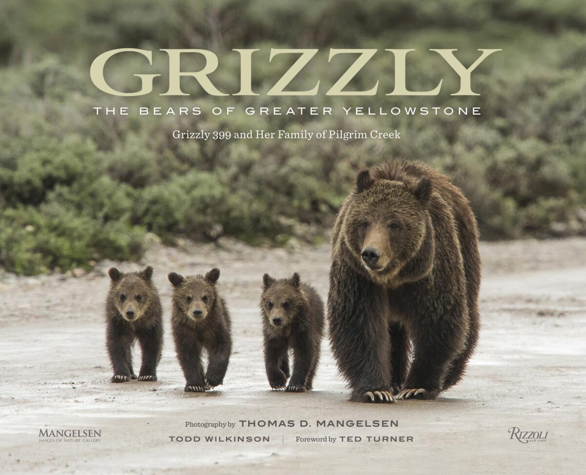 "Grizzly: The Bears of Greater Yellowstone"