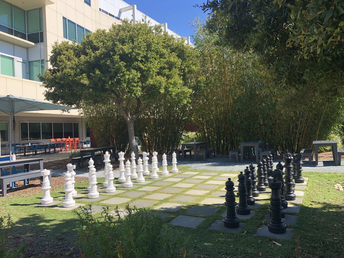 A large-scale chess set in a gardened area of the Google campus in Mountain View.