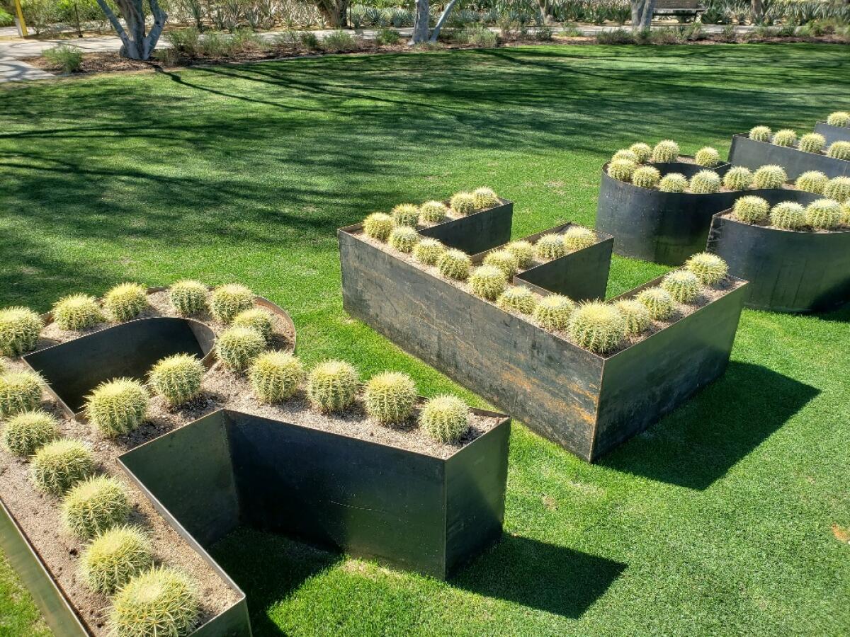 Barrel cactus fill metal planters that spell out the word "resilient."
