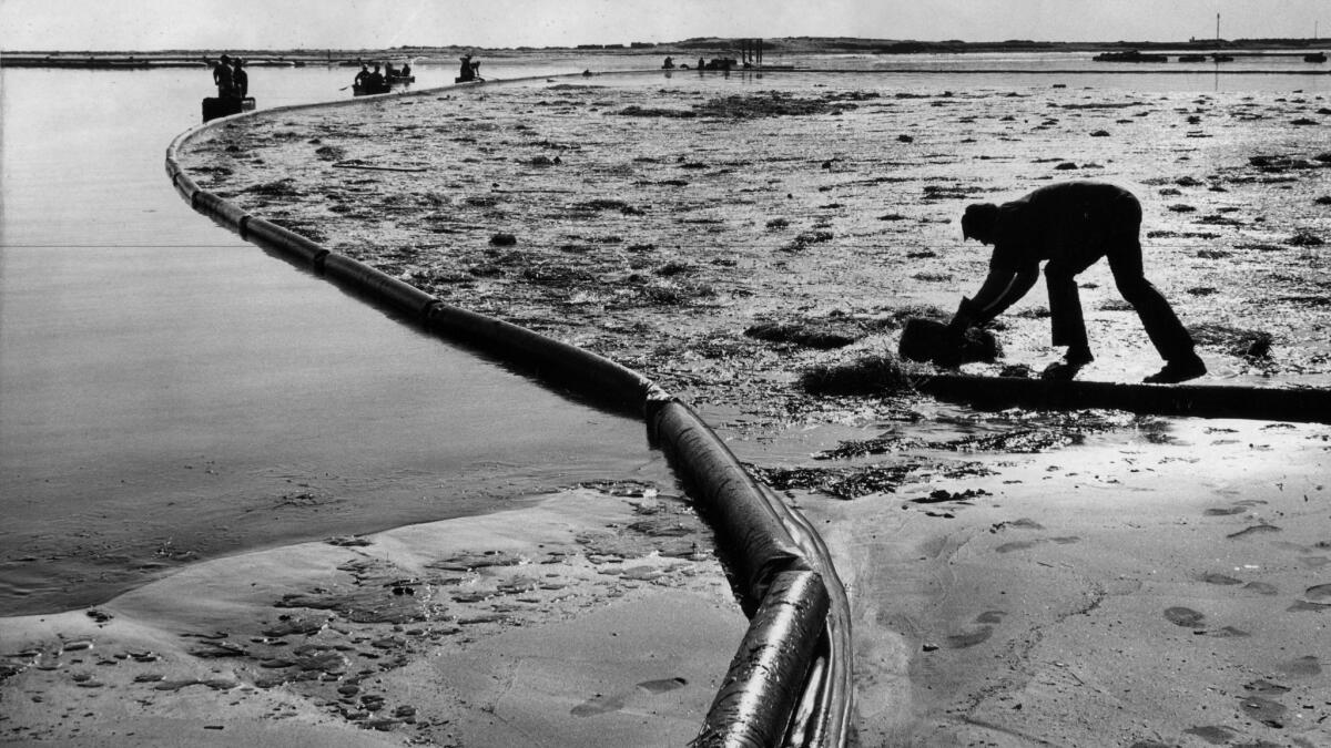 Workers try to soak up oil in Santa Barbara Harbor after a devastating spill in 1969 that sparked California's decades-long distaste for offshore drilling.