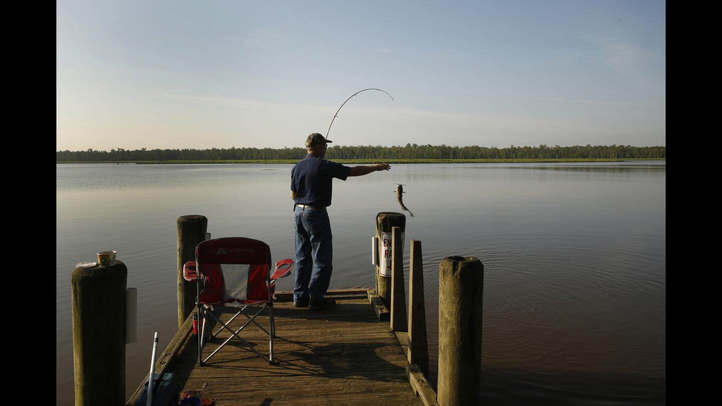 Pamunkey River