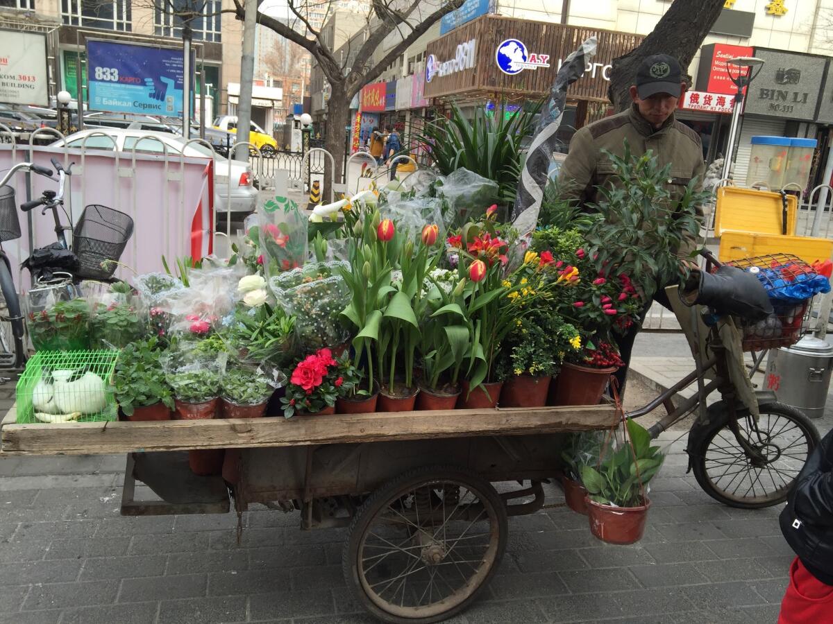 Potted blooms for sale in the Chinese capital.
