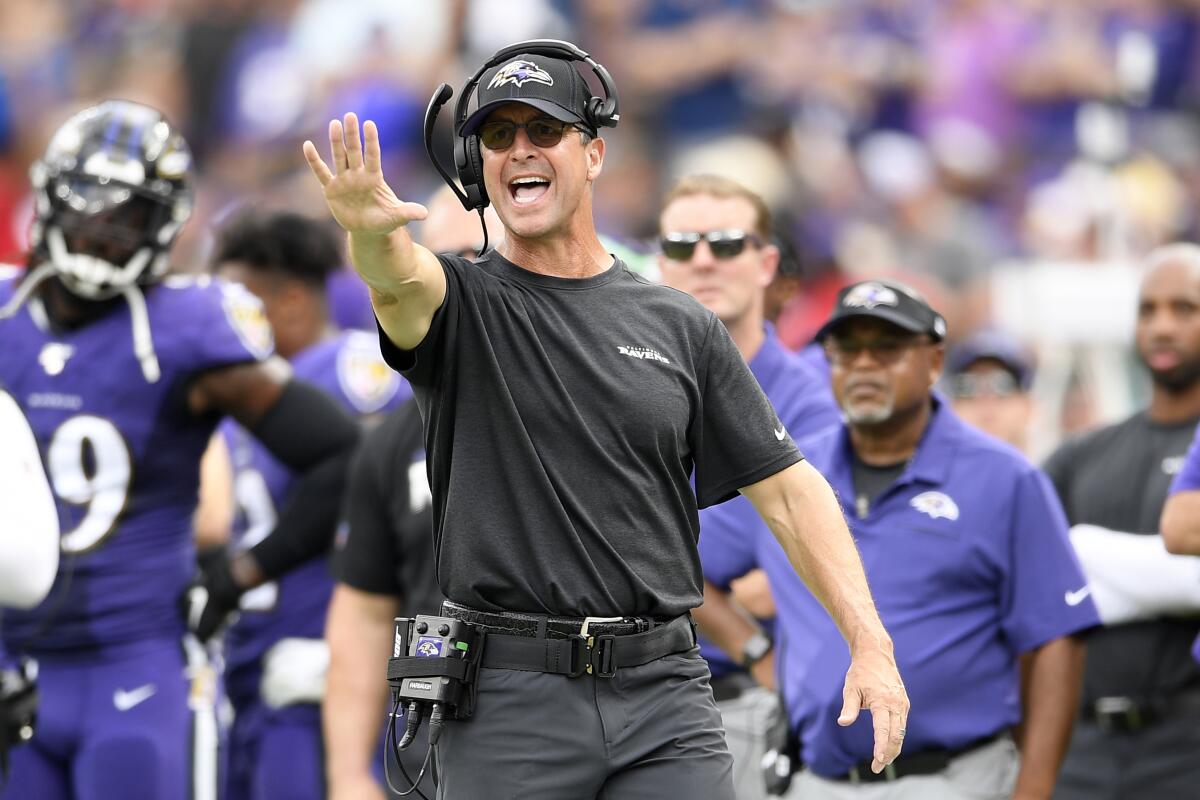 Baltimore Ravens coach John Harbaugh reacts on the sideline.