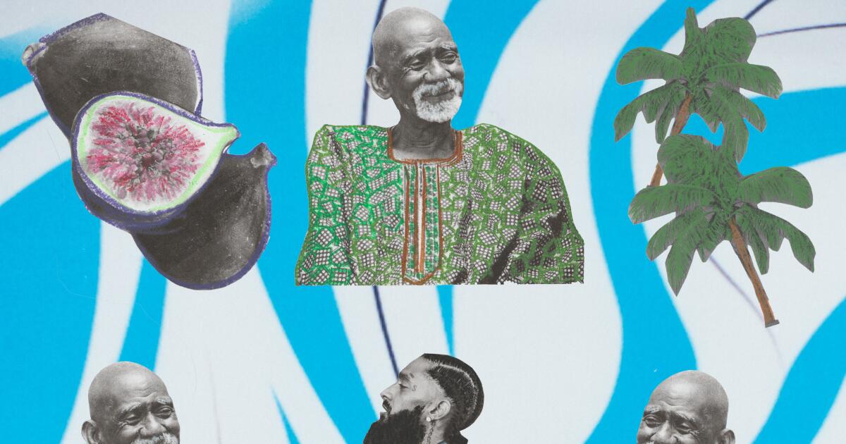 Controversial Claims: Did Dr Sebi Cure AIDS? Controversial Claims: Did Dr Sebi Cure AIDS?