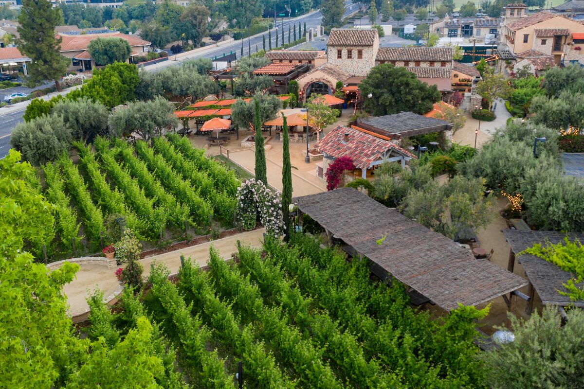 Aerial view of Stonehaus, its patios and grapevines in neat rows.