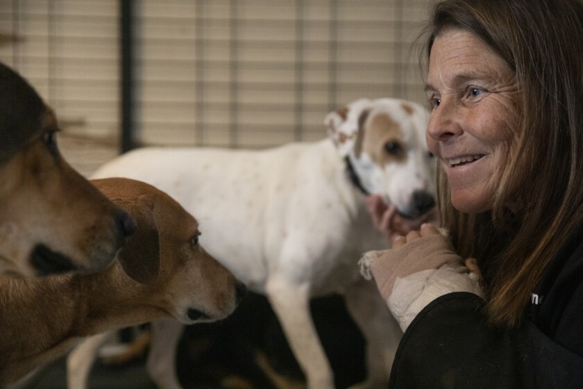 Babs Fry plays with dogs in a socializing room at her ranch in Jamul on Wednesday, Jan. 5.  