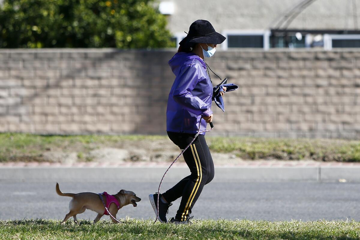 A woman jogs with her dog along a path at Mile Square Regional Park.